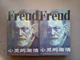 心灵的激情 上下