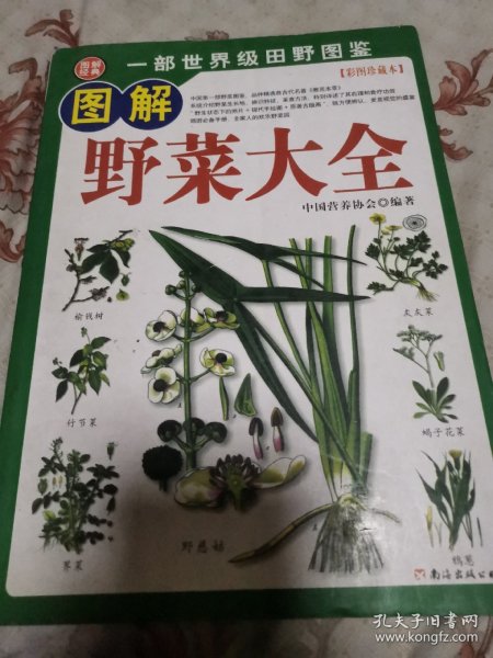 319种中国野菜图鉴