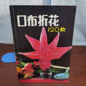 口布折花120款