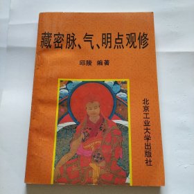 藏密脉，气，明点观修