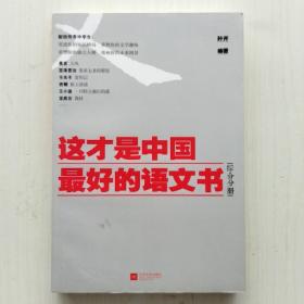 这才是中国最好的语文书：综合分册(叶开 编著)