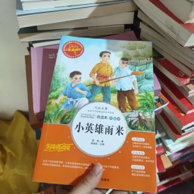 小英雄雨来