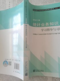 统计业务知识学习指导与习题(初级中级2021版全国统计专业技术资格考试用书)