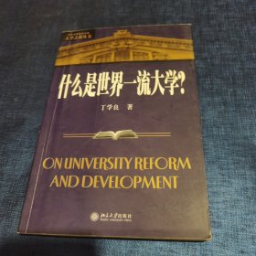 什么是世界一流大学 有划线