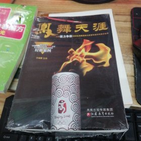 凤舞天涯：三亚极力争取2008北京奥运会火炬首传城市的幕后故事