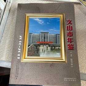 2010～2011文山市年鉴 上