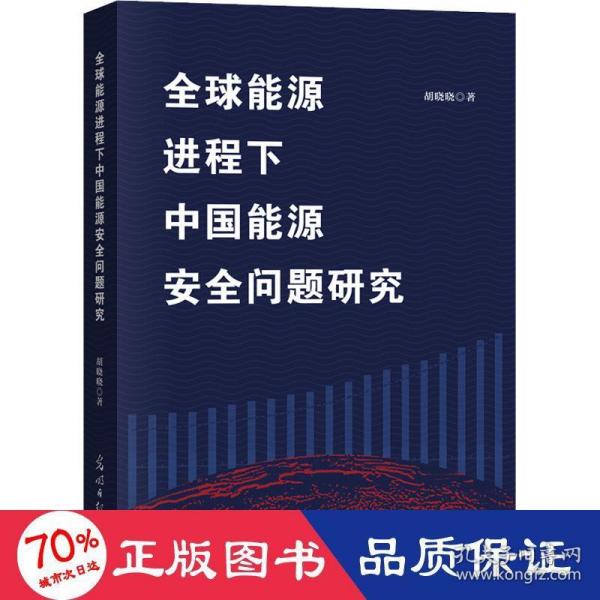 全球能源进程下中国能源安全问题研究