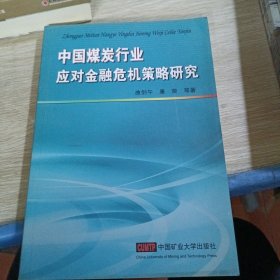 中国煤炭行业应对金融危机策略研究