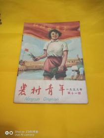 农村青年1959年第11期