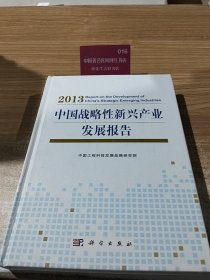中国战略性新兴产业发展报告2013