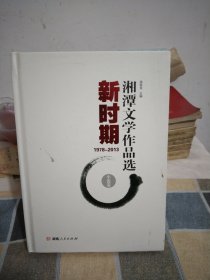 新时期湘潭文学作品集16开精装