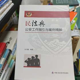 民法典公安工作指引与案例精解