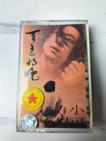 小柯，天色将晚，歌词后页有孔
