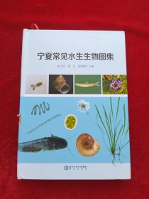 宁夏常见水生生物图集