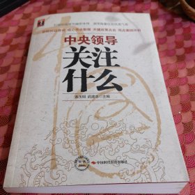 市委书记市长关注什么，县委书记县长关注什么，人大政协领导关注什么，省委书记省长关注什么，百姓关注什么，中央领导关注什么，（共六册）