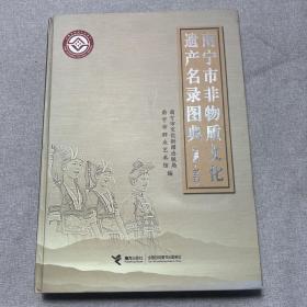 南宁市非物质文化遗产名录图典 : 2006～2010