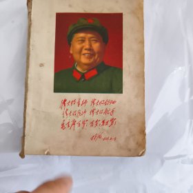 新医手册