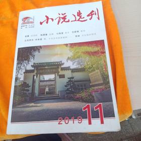 小说选刊2019  11