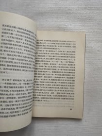 黑铁时代：王小波早期作品及未竟稿集