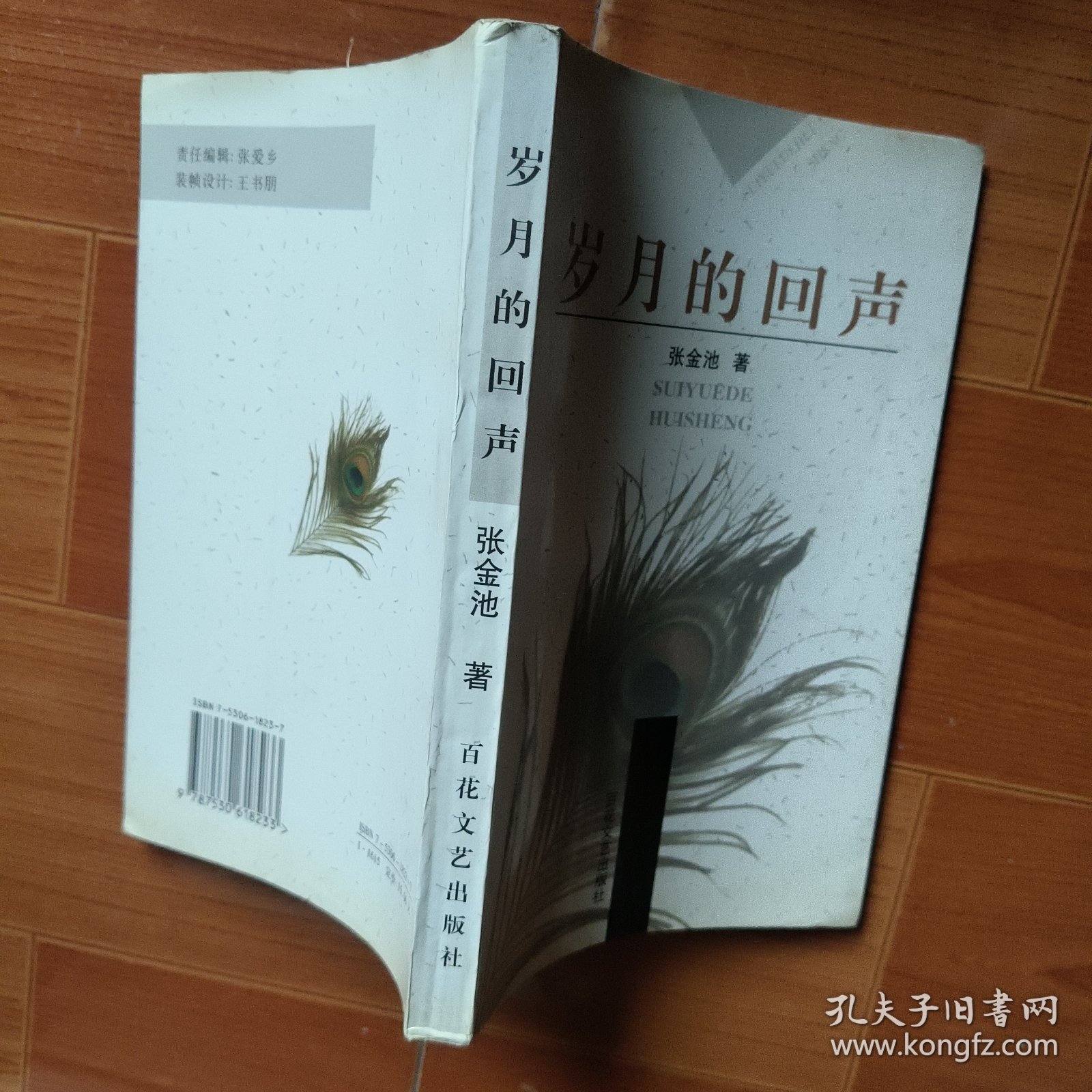 岁月的回声