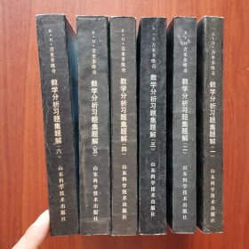 数学分析习题集题解(全六册)