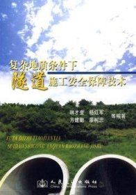 復(fù)雜地質(zhì)條件下隧道施工安全保障技術(shù)林才奎