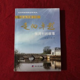 走向卓越 : 张湾村的故事