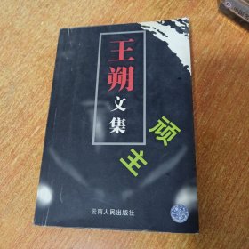 顽主（王朔文集）