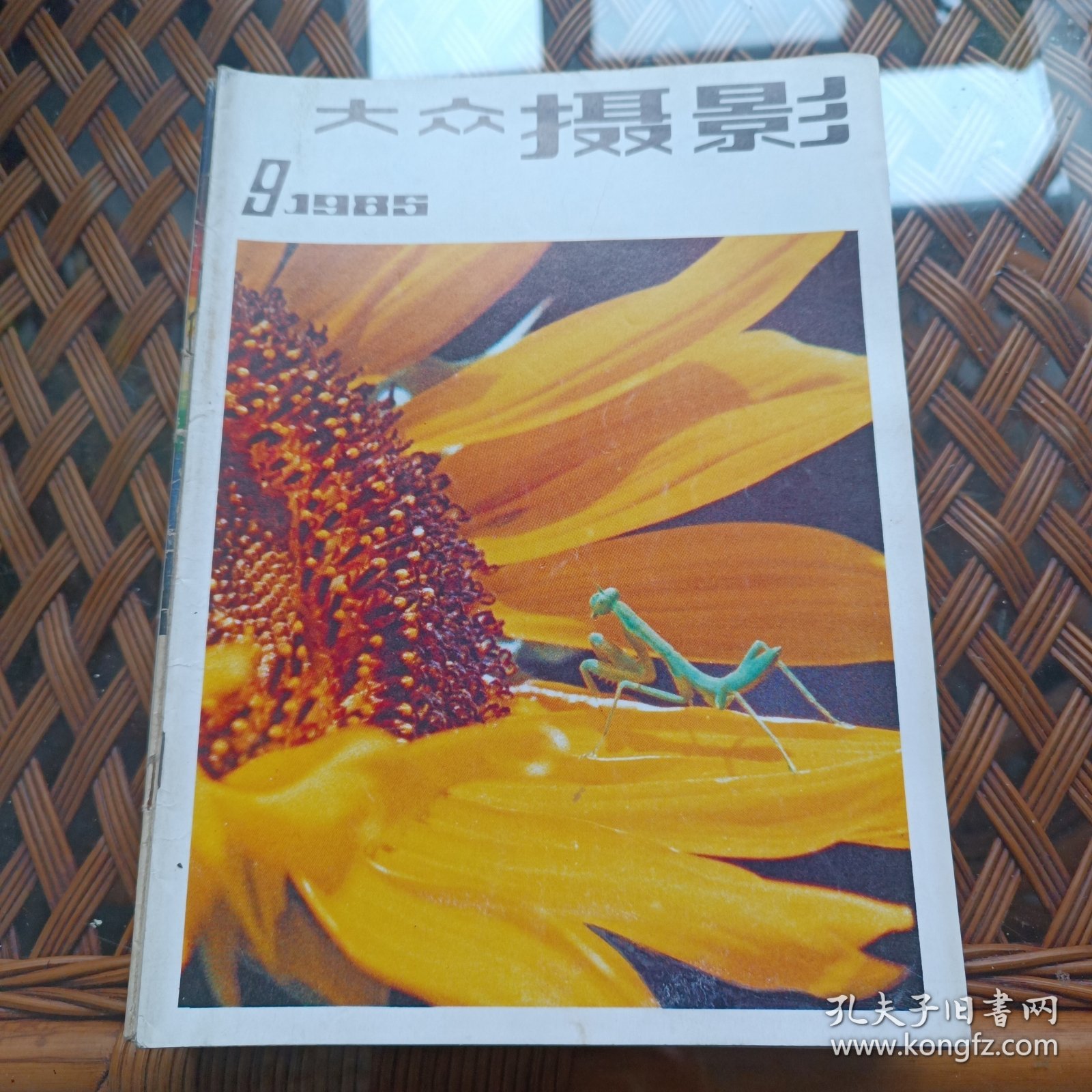 大众摄影1985年第9期