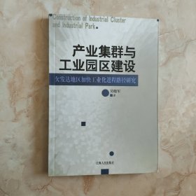 产业集群与工业园区建设：欠发达地区加快工业化进程路径研究