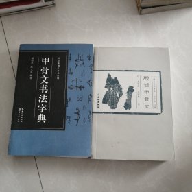 中国古文字导读：殷墟甲骨文，甲骨文书法字典两册合售50元书页里有划线看图下单，