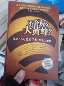 不会飞的大黄蜂？：完成“不可能的任务”的七大策略