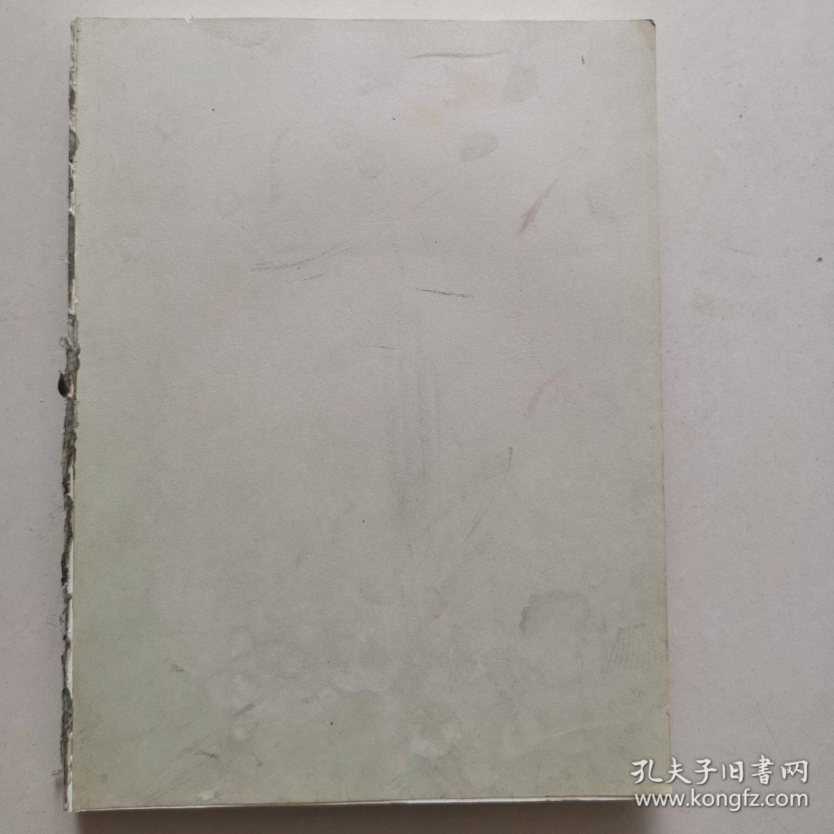 都江堰二王庙震后抢险保护勘察报告（无封皮）