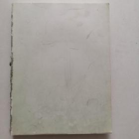 都江堰二王庙震后抢险保护勘察报告（无封皮）