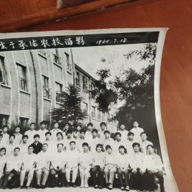 1984年承德师范学校青龙二中师范班毕业师生合影+1984青龙县全体师生于承德农校留影+别的合影一张