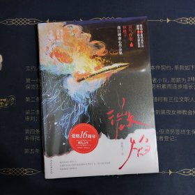 微焰 林稚子BE美学作品合集