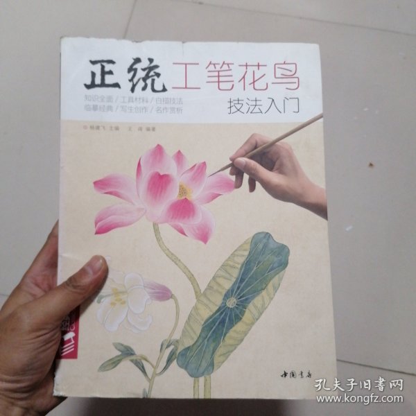 正统工笔花鸟技法入门/经典全集系列丛书