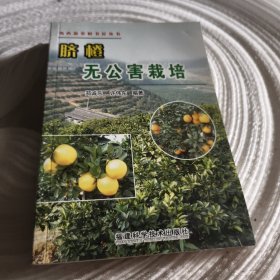 实物拍照：脐橙无公害栽培