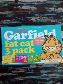 garfield fat cat 3 pack 加菲猫英文漫画