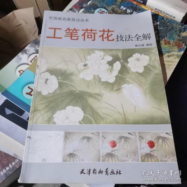 中国画名家技法丛书：工笔荷花技法全解