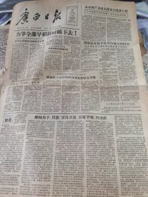 《广西日报》【宁明县争取在谷雨前插完秧；玉林五一社插秧又快又好；贵县樟木区生猪收购量增加；临桂运河——相思埭，有示意图；周扬就“百花齐放、百家争鸣”问题答记者问】