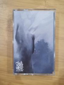 版本自辩 未拆 大陆 摇滚 磁带 海龟先生 同名专辑 摩登天空25周年纪念版
