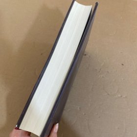 中国新刑法学