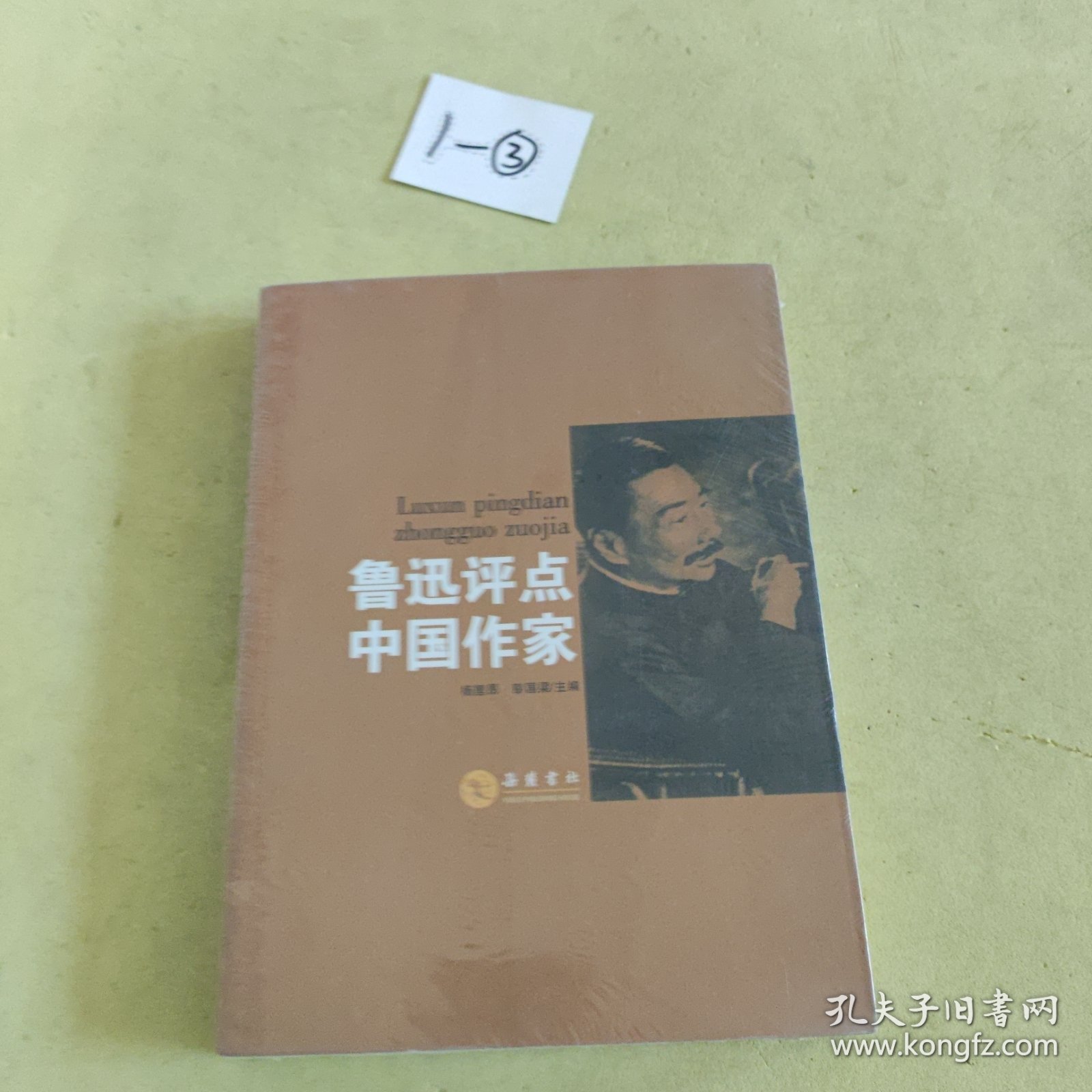 鲁迅评点中国作家