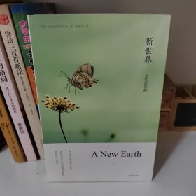 新世界：灵性的觉醒
