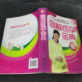 图解怀孕宝典