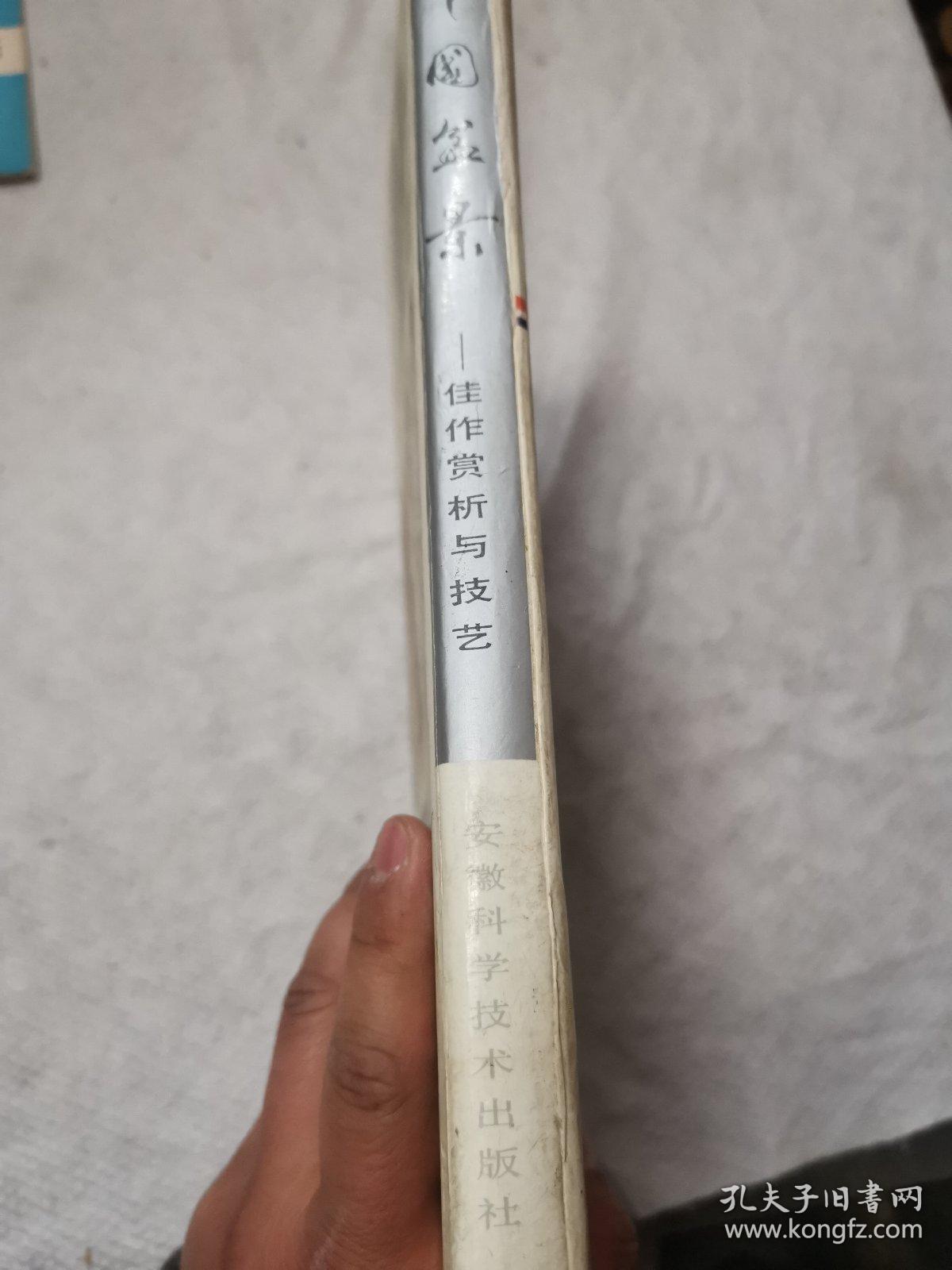 中国盆景佳作欣赏与技艺