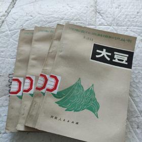 大豆