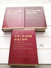 中华人民共和国政务大辞典（全三册）