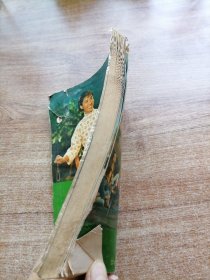 革命现代京剧：龙江颂